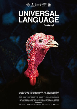 Universal Language Film Poster