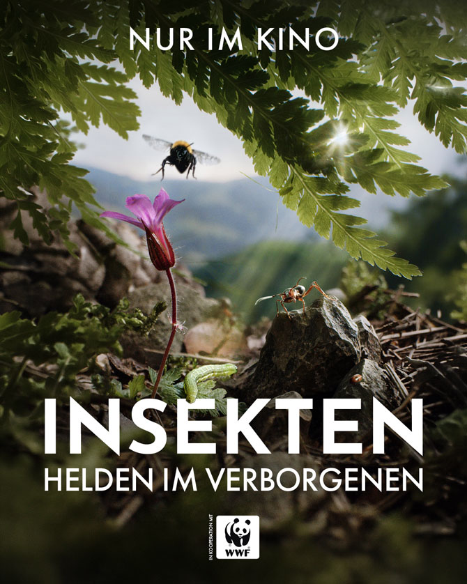 Insekten Helden im Verborgenen Film Kino Poster 01