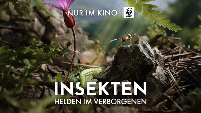 Insekten Helden im Verborgenen Film Kino 01